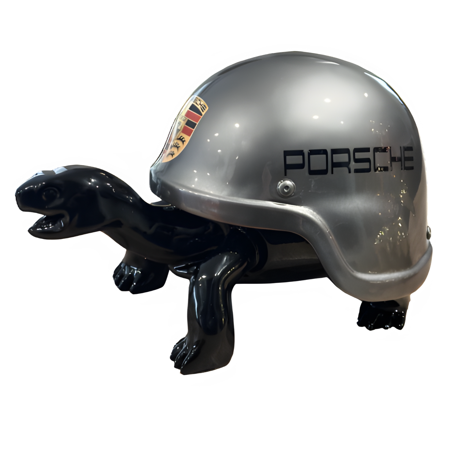 Tortue Porsche 